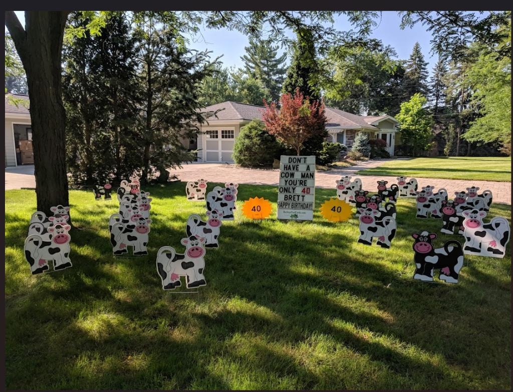 Cow yard signs for Brett's 40th birthday don't have a cow man