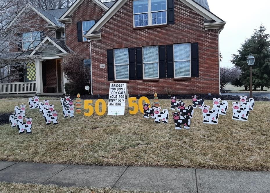 Cow yard signs for Bridget's 50th birthday you don't look calf your age